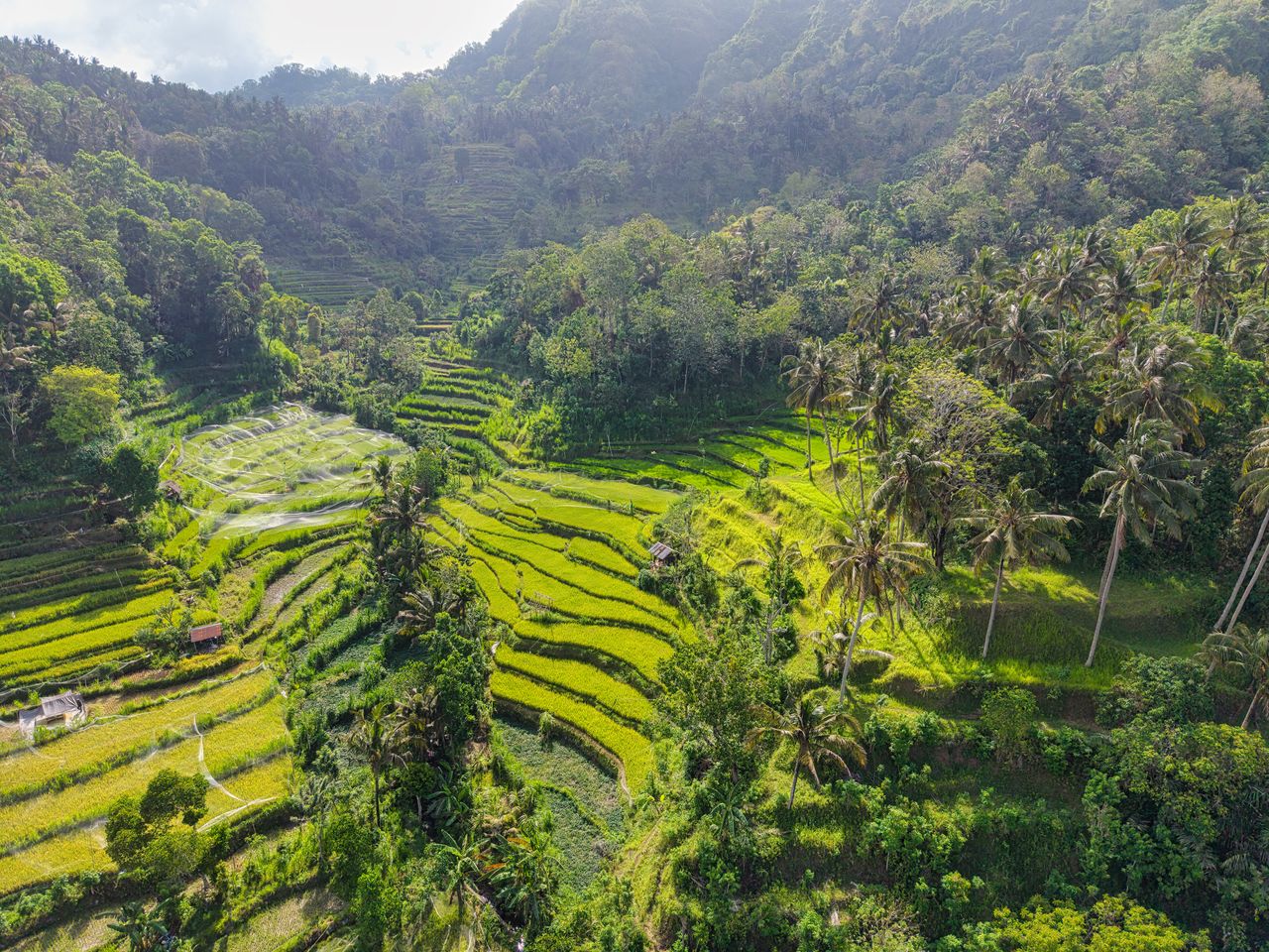 Crafting Captivating Headlines: Your awesome post title goes here Aerial view of vibrant rice terraces surrounded by tropical forest in Bali, Indonesia.